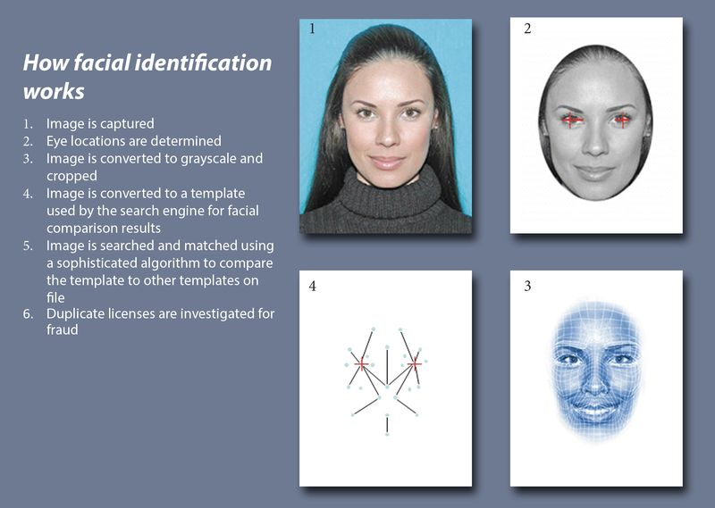 How Facial Identification Works