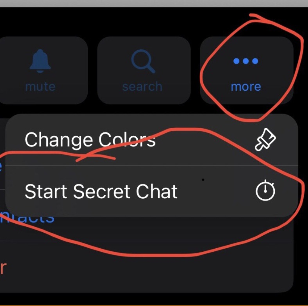 AN image from Telegram. The "start secret chat" menu is highlighted.