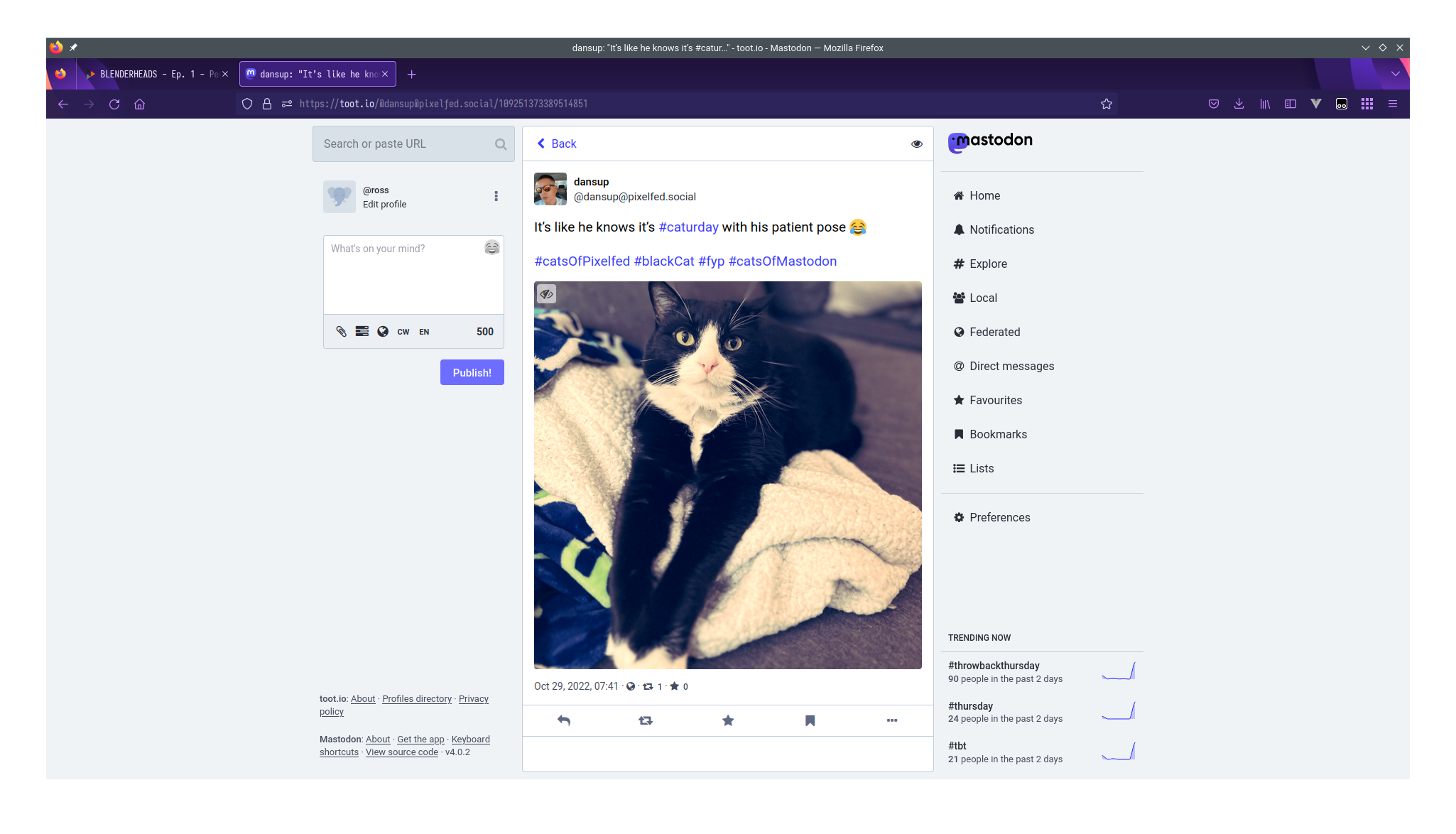 A screenshot of Mastodon's home feed, showing a Pixelfed post from "dansup" of his cat.