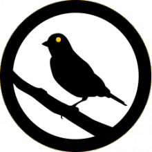 Canary Watch Logo