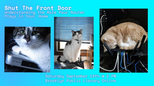 Three pictures of cats on top of computer equipment 